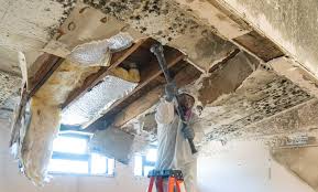 Best Asbestos and Lead Testing During Mold Inspection  in Rosedale, CA